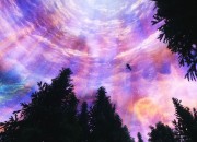 The Elder Scrolls V: Skyrim