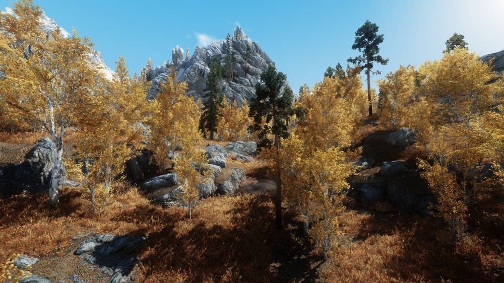 The Elder Scrolls V: Skyrim