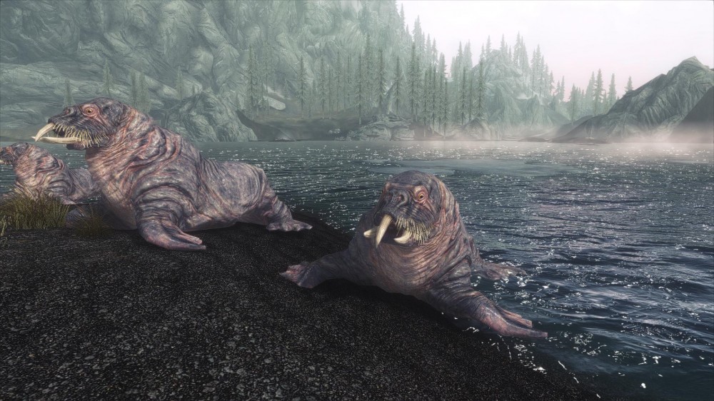 The Elder Scrolls V: Skyrim