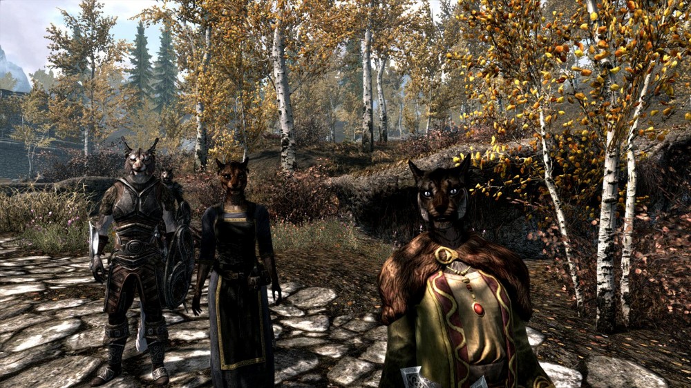 The Elder Scrolls V: Skyrim