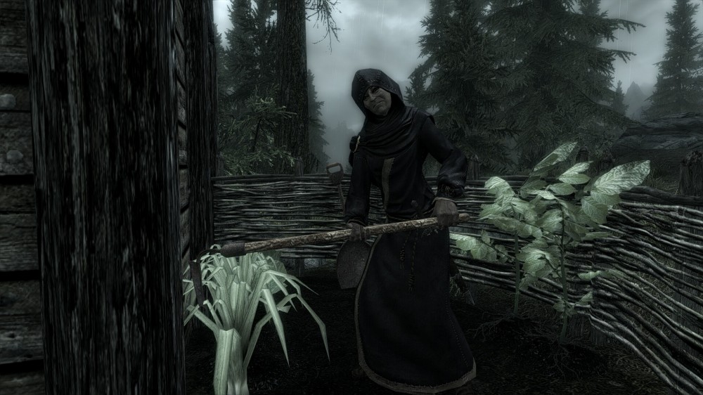 The Elder Scrolls V: Skyrim