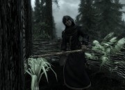 The Elder Scrolls V screenshot
