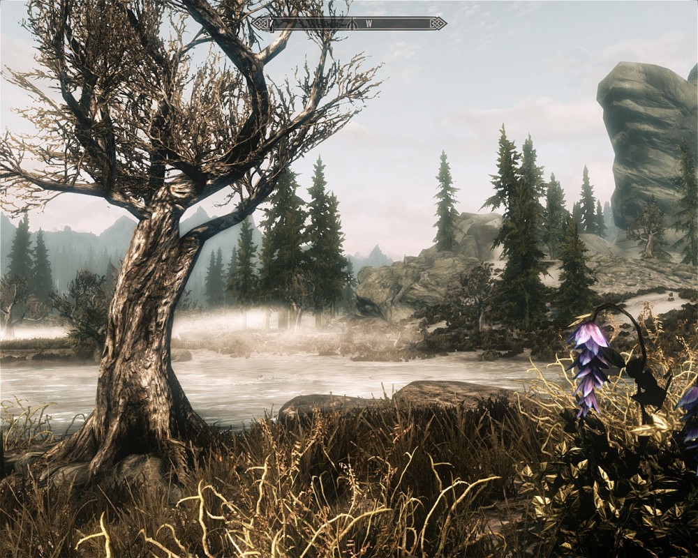 The Elder Scrolls V: Skyrim