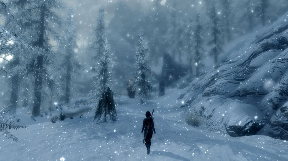 The Elder Scrolls V: Skyrim