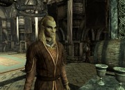 The Elder Scrolls V: Skyrim