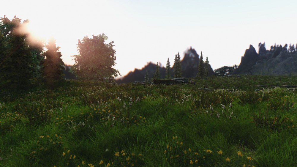 The Elder Scrolls V: Skyrim
