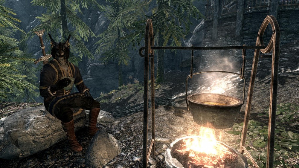 The Elder Scrolls V: Skyrim