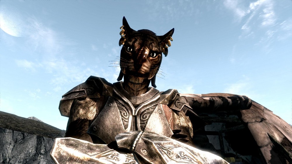 The Elder Scrolls V: Skyrim