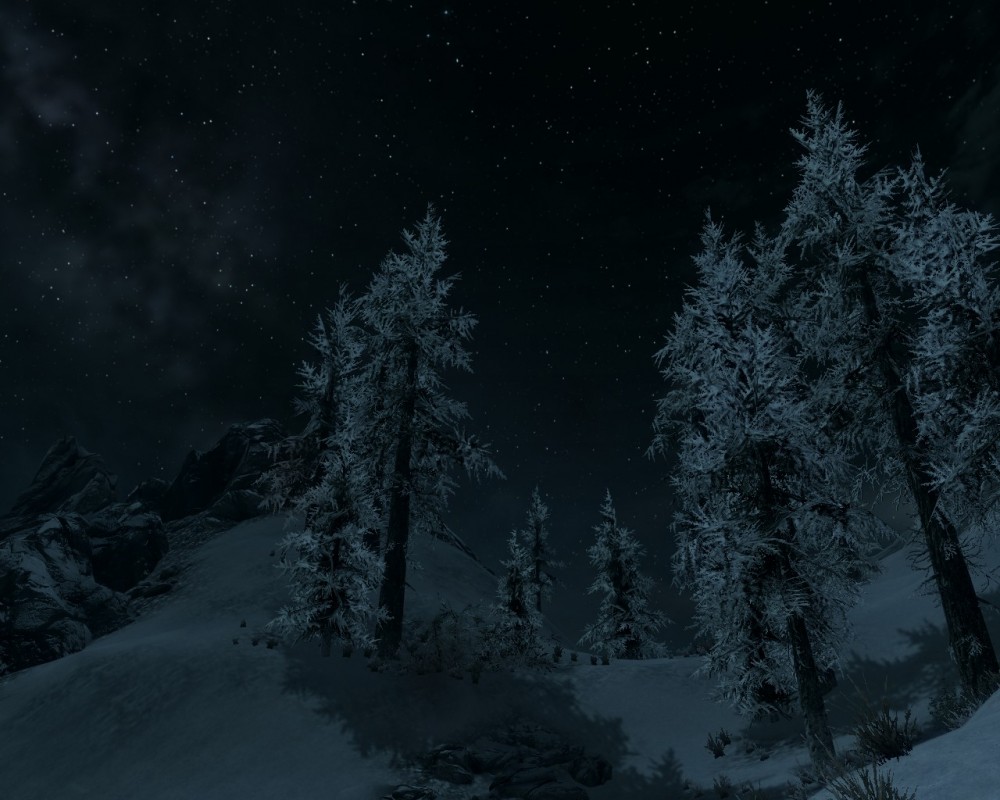 The Elder Scrolls V: Skyrim