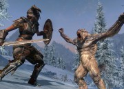 The Elder Scrolls V: Skyrim
