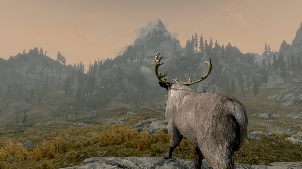 The Elder Scrolls V: Skyrim