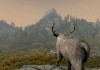 The Elder Scrolls V: Skyrim