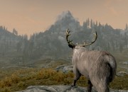 The Elder Scrolls V: Skyrim