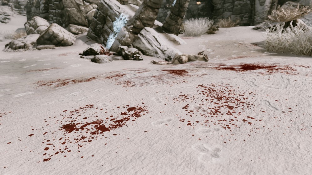 The Elder Scrolls V: Skyrim