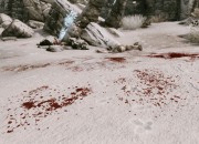 The Elder Scrolls V: Skyrim