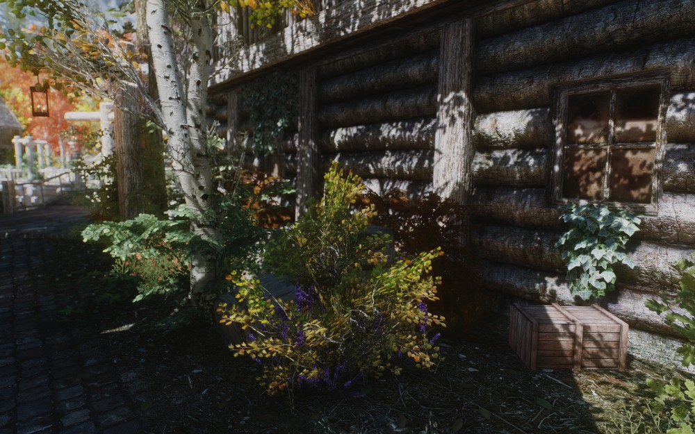 The Elder Scrolls V: Skyrim