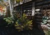 The Elder Scrolls V: Skyrim