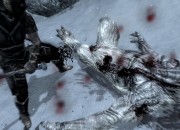 The Elder Scrolls V: Skyrim