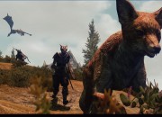 The Elder Scrolls V: Skyrim