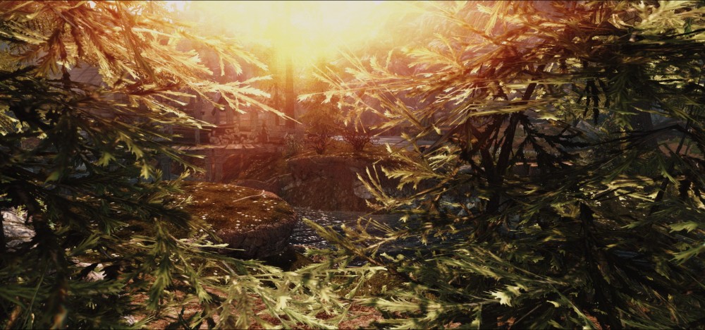 The Elder Scrolls V: Skyrim