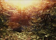The Elder Scrolls V: Skyrim