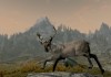 The Elder Scrolls V: Skyrim