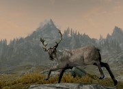 The Elder Scrolls V: Skyrim