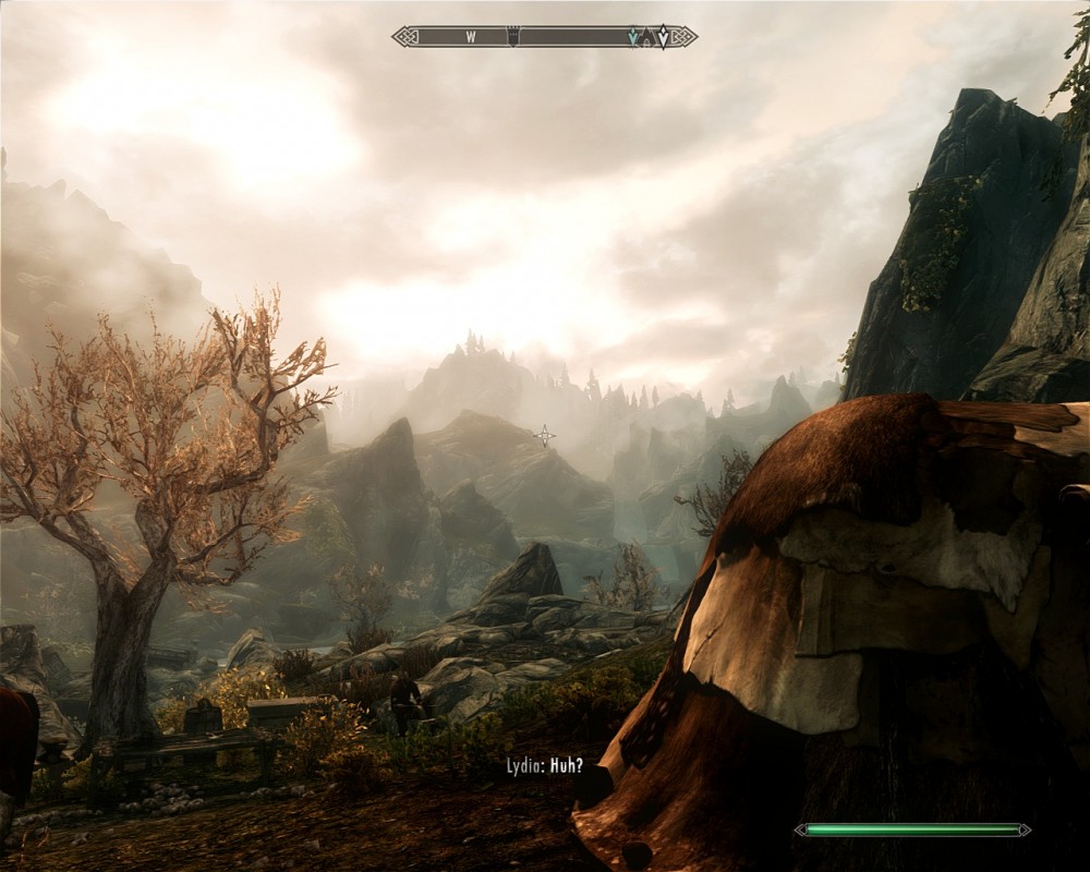 The Elder Scrolls V: Skyrim