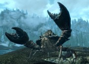The Elder Scrolls V: Skyrim