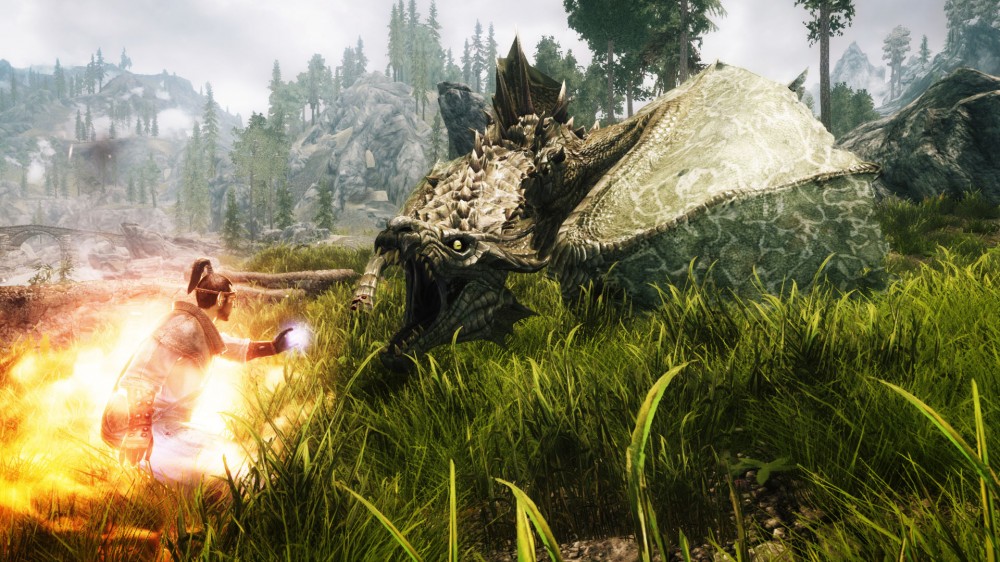 The Elder Scrolls V: Skyrim