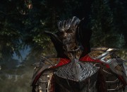 The Elder Scrolls V: Skyrim