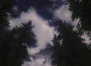 The Elder Scrolls V: Skyrim