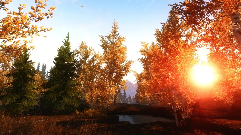 The Elder Scrolls V: Skyrim