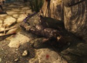 The Elder Scrolls V: Skyrim