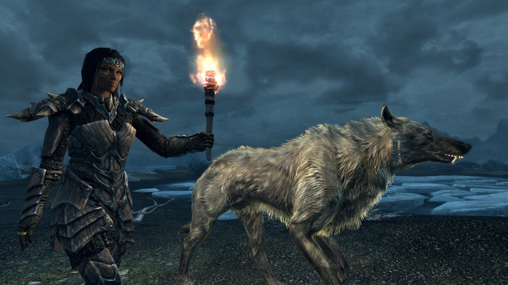 The Elder Scrolls V: Skyrim