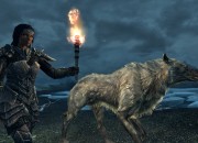 The Elder Scrolls V: Skyrim