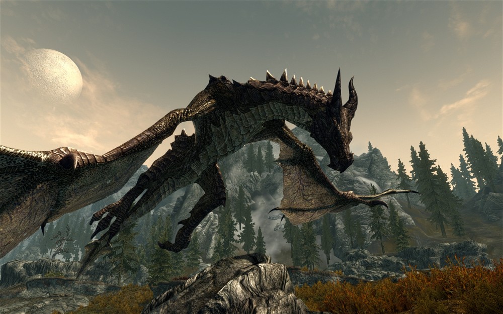 The Elder Scrolls V: Skyrim