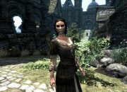 The Elder Scrolls V: Skyrim