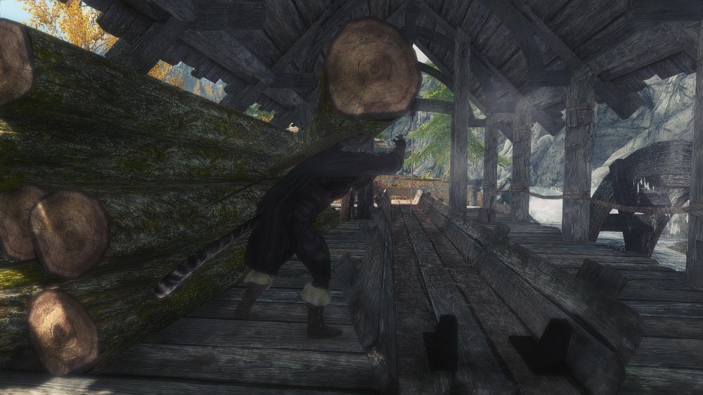 The Elder Scrolls V: Skyrim