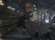 The Elder Scrolls V: Skyrim