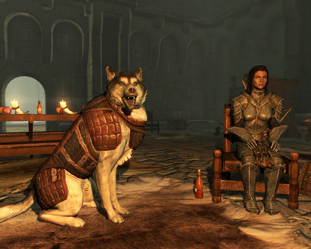 The Elder Scrolls V: Skyrim
