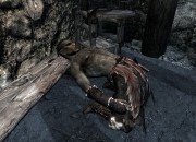 The Elder Scrolls V: Skyrim
