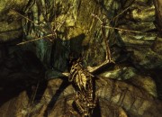 The Elder Scrolls V: Skyrim