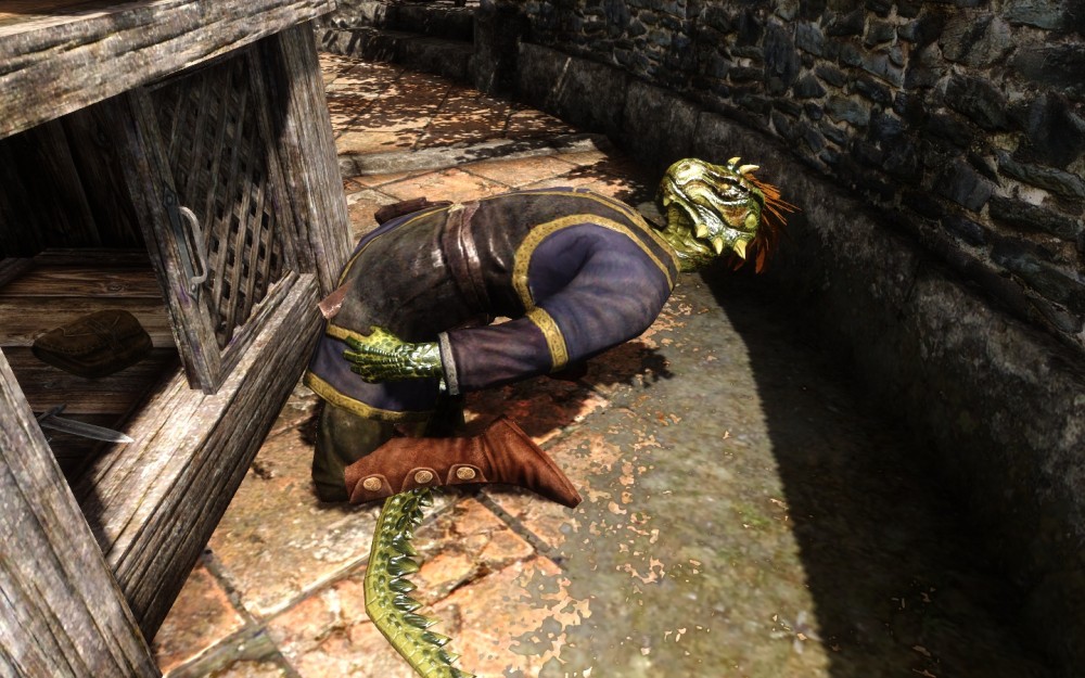 The Elder Scrolls V: Skyrim