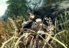 The Elder Scrolls V: Skyrim
