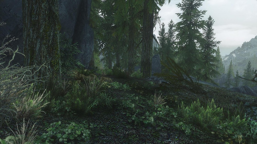 The Elder Scrolls V: Skyrim