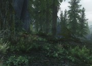 The Elder Scrolls V: Skyrim
