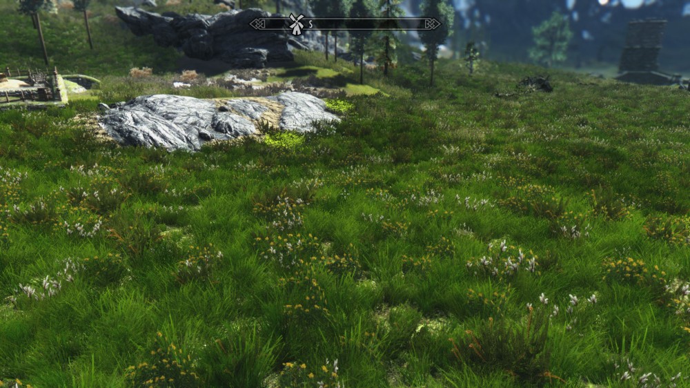 The Elder Scrolls V: Skyrim