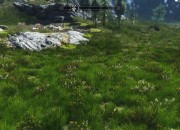 The Elder Scrolls V: Skyrim