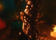 The Elder Scrolls V: Skyrim